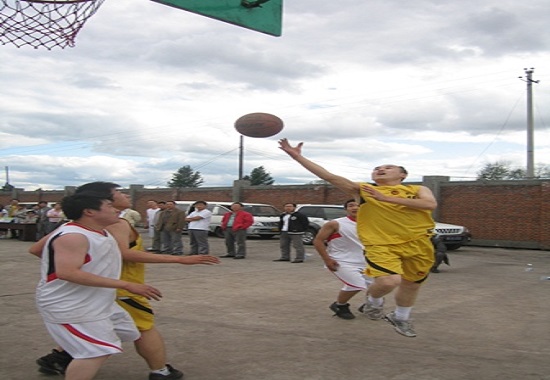 ɭ��������-׷�󽡿�,����һ��ɳ�ú�����ɷ����޹�˾�׽�������